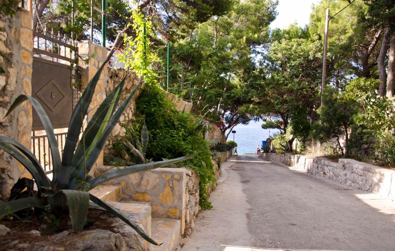 חוואר Villa Lucija מראה חיצוני תמונה